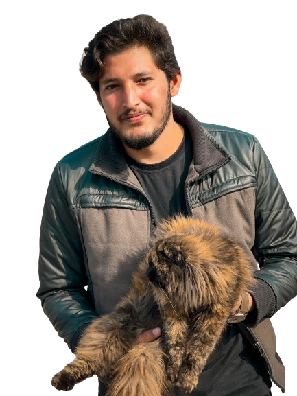 this is an image